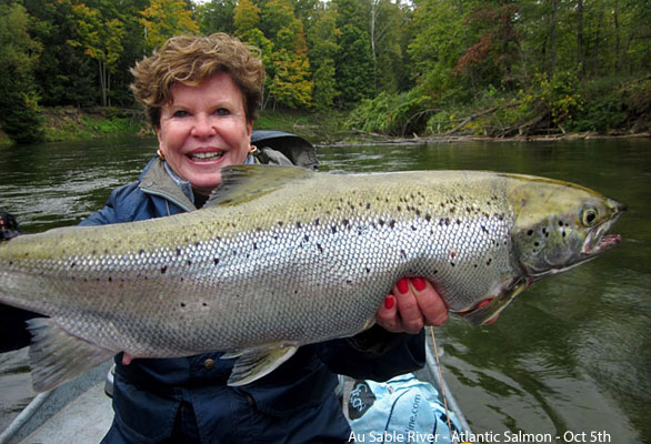 Atlantic Salmon in Michigan - Streamside Au Sable River Fly Fishing Guides