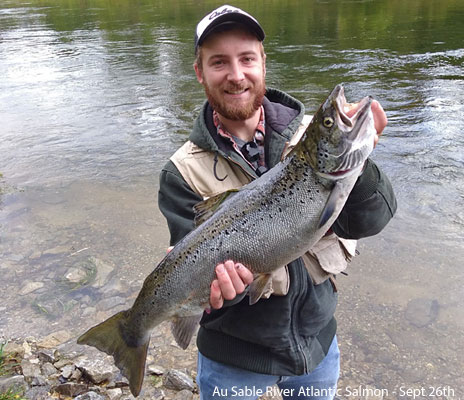 atlantic salmon michigan fishing planet