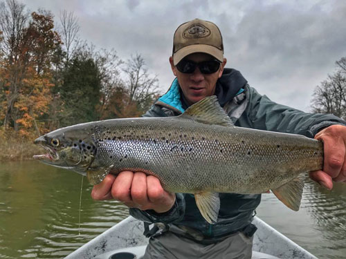 atlantic salmon michigan fishing planet