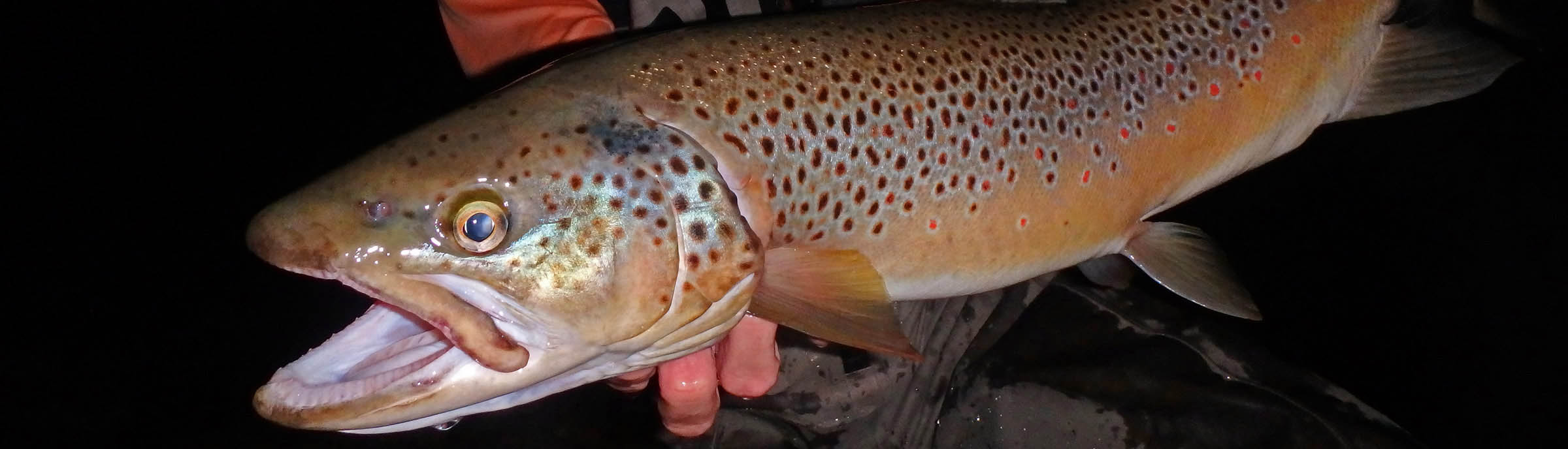 Star Wars Theme on Spey Casting - Northern Michigan, Guide Service