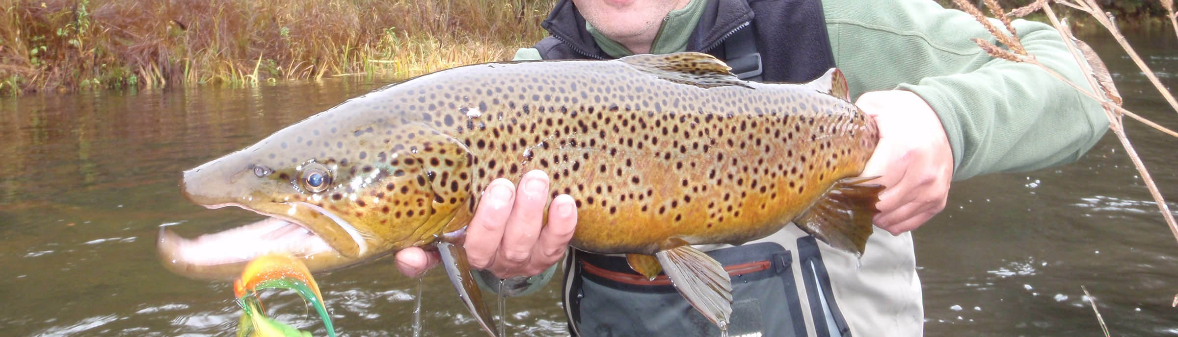 Streamside Fishing Guide Service in Michigan - Streamside Au Sable River  Fly Fishing Guides