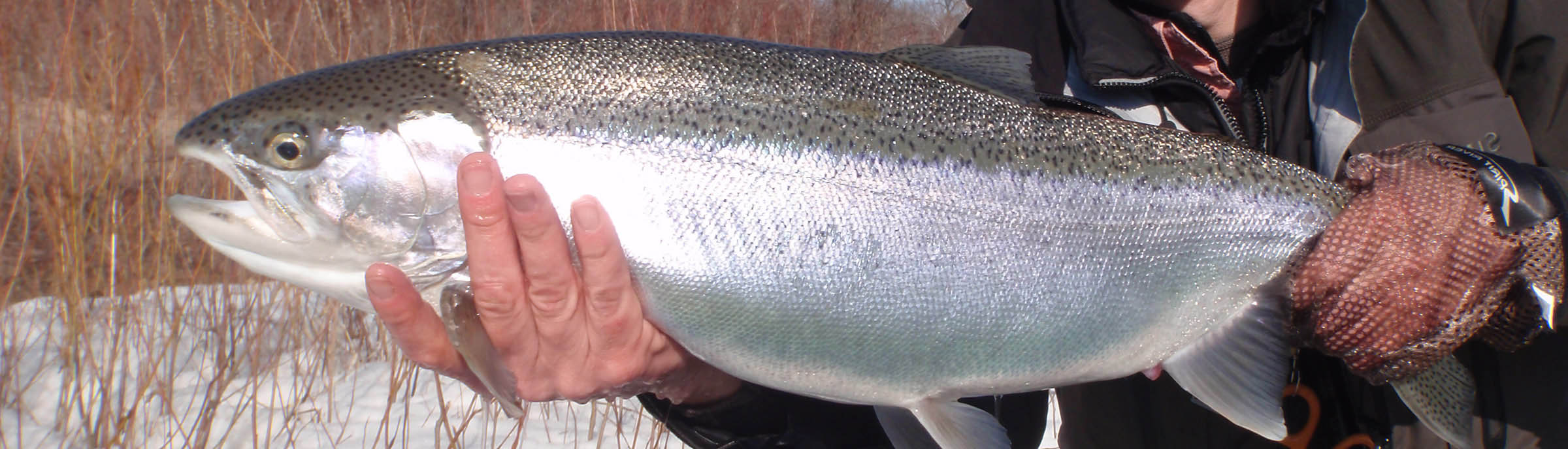 Star Wars Theme on Spey Casting - Northern Michigan, Guide Service