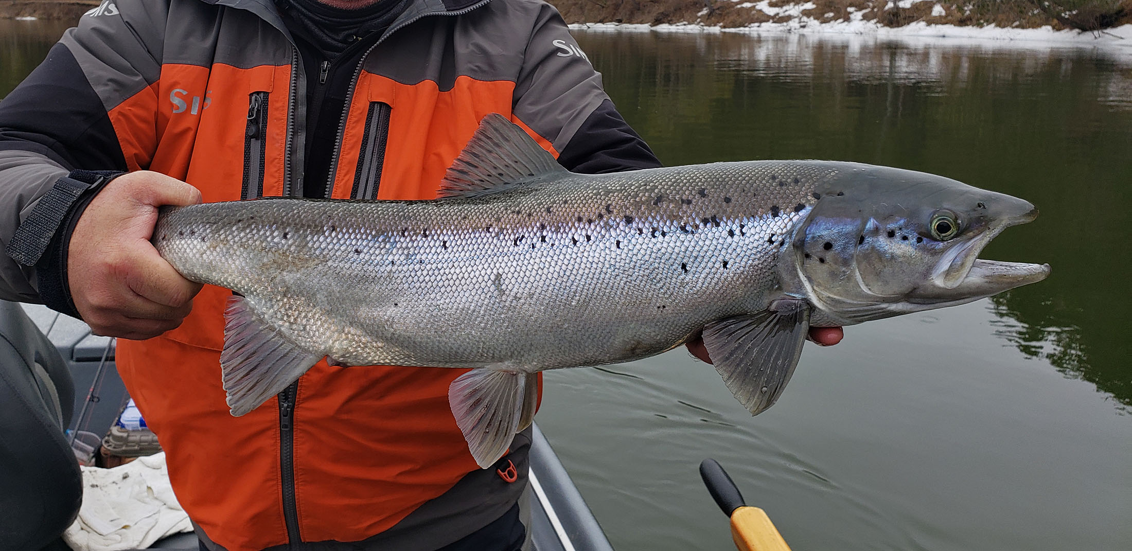 Star Wars Theme on Spey Casting - Northern Michigan, Guide Service