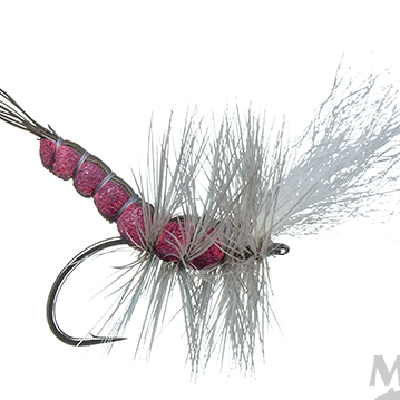 McCoy's All Day Isonychia Spinner Fly 12