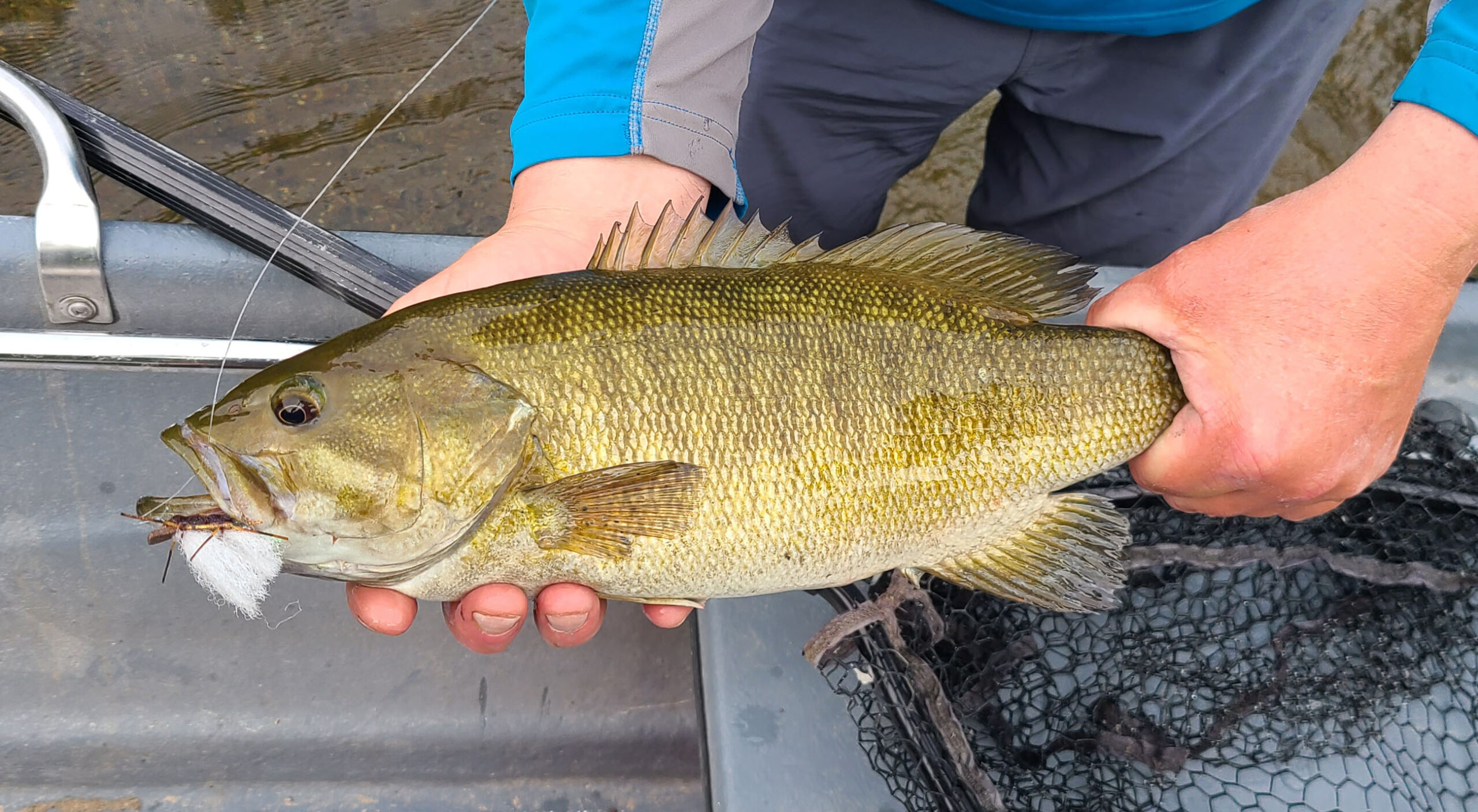 Summer Time Fly Fishing For Smallmouth Bass Is Here - Streamside Au ...